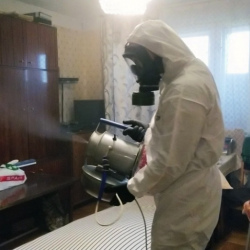Дезинфекция от клопов в Решетниково