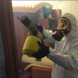 Уничтожение клопов в квартире. Решетниково